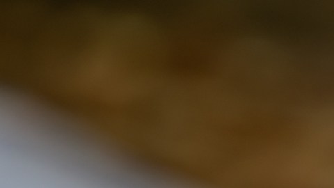 Identifican una molécula altamente prometedora que mejora la salud digestiva