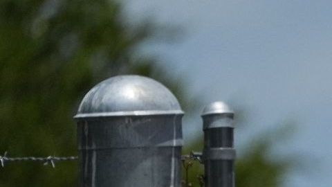 El futuro centro de detención del ICE en Arizona se ubicaría frente a una instalación que almacena sustancias químicas peligrosas.
