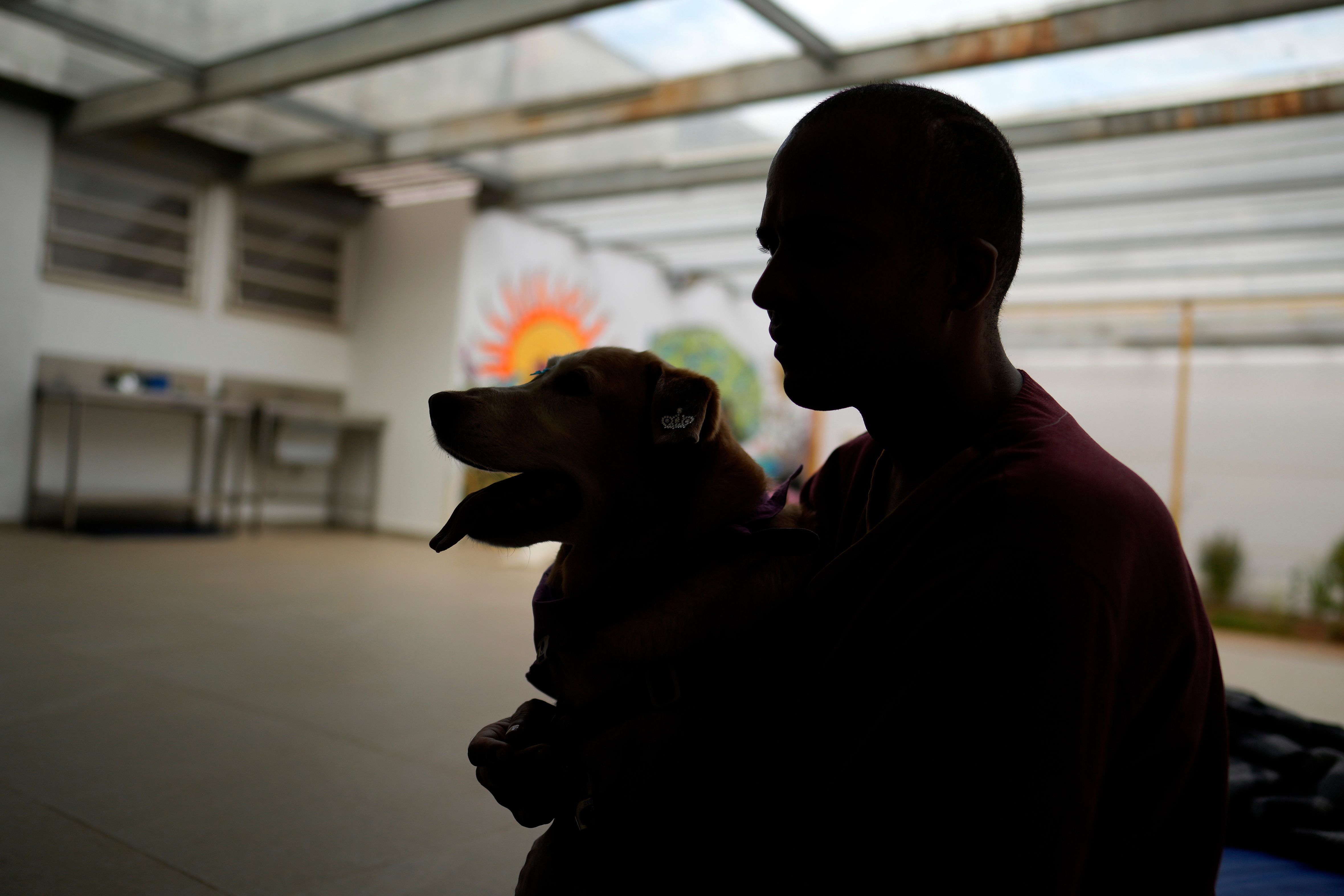 Entrenador condenado por la muerte de 11 perros en el condado de Orange