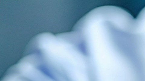 Descubren gen que promueve el crecimiento rápido y la reproducción temprana, pero aumenta el riesgo de envejecimiento y cáncer