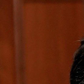 George Santos, exrepresentante conservador por Nueva York
