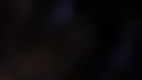 El caso de una mujer con Alzheimer avanzado que recuperó el habla y la memoria tras consumir hongos alucinógenos