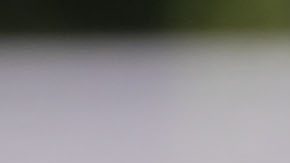 Javier Aguirre da indicaciones durante un entrenamiento de la selección mexicana.