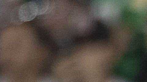 Guillermo Ochoa compite con Raúl Rangel y Carlos Acevedo por la titularidad en el Mundial 2026.