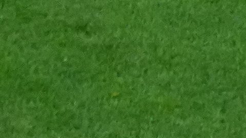 Ciudad de México, 24 de junio de 2026. Santiago Gimenez , durante el partido de primera fase del Grupo A de la Copa Mundial de la FIFA 2026, entre la Selección de República Checa y la Selección Nacional de México, realizado en el estadio Ciudad de México. Foto: Imago7/ Rafael Vadillo