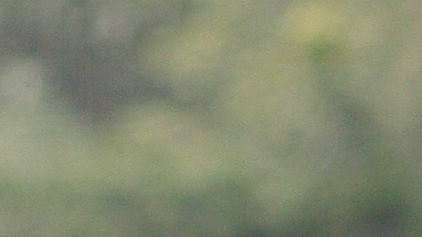 Ciudad de México, 4 de agosto de 2015. Guillermo Vazquez posterior al entrenamiento de Pumas de la UNAM previo al partido de la jornada dos de la Copa Corona MX, en las instalacione de cancha 2 Foto: Imago7/Álvaro Paulin