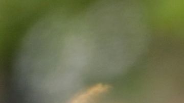 La mayoría de los estadounidenses considera vital informarse, pero pocos creen estar bien preparados.