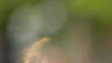 La mayoría de los estadounidenses considera vital informarse, pero pocos creen estar bien preparados.