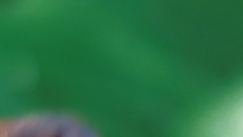 Aumentan casos de tétanos, es una enfermedad rara pero peligrosa