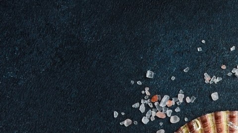 ¿Por qué hay tantas personas alérgicas a los mariscos?