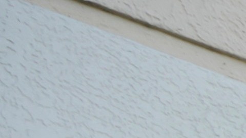 Publix anuncia la apertura de 5 nuevas tiendas este año