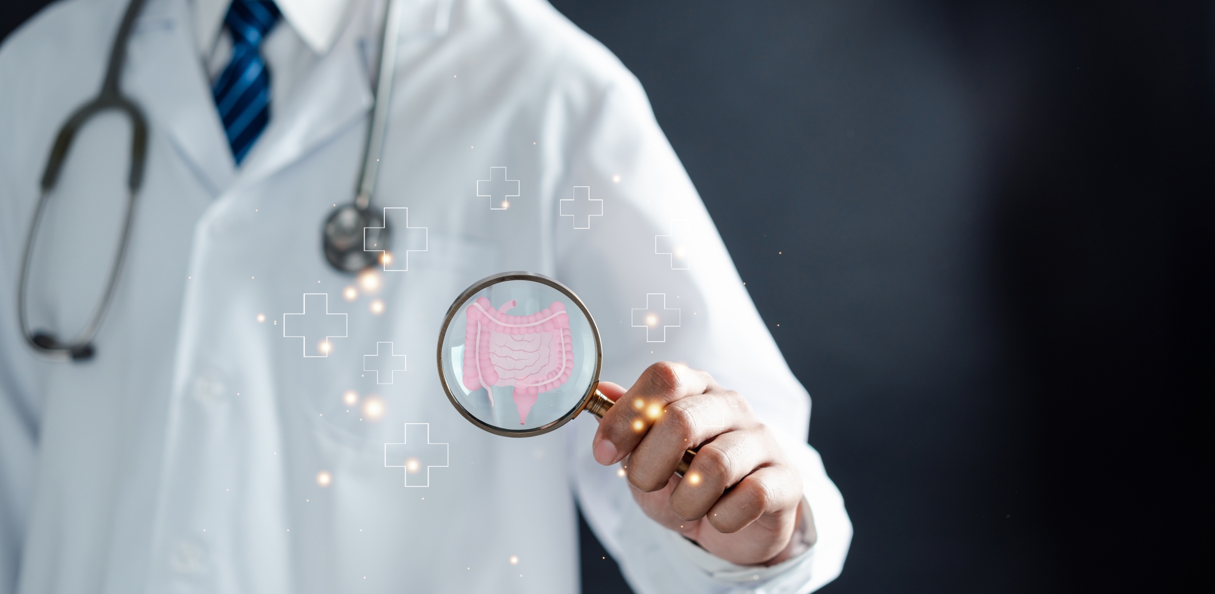 Investigación innovadora en la pérdida de peso: el secreto podría estar en el intestino