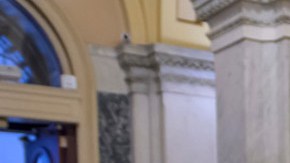 Thomas Kean Jr. congresista por Nueva Jersey