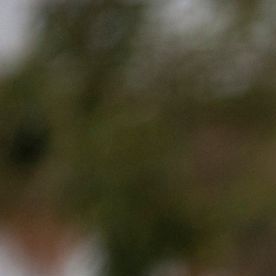 Un estudio del MPI dio a conocer cuántos inmigrantes podrían formar parte de una deportación acelerada.