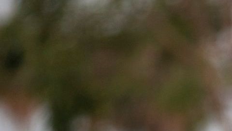 Un estudio del MPI dio a conocer cuántos inmigrantes podrían formar parte de una deportación acelerada.