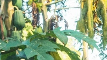 La "comida chatarra" no es la mejor ni la única opción para alimentarte cuando sales de excursión o viaje de campamento