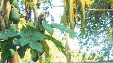 La "comida chatarra" no es la mejor ni la única opción para alimentarte cuando sales de excursión o viaje de campamento