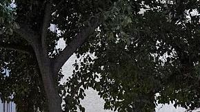 Los rescatistas ayudan a las personas que han quedado atrapadas entre los escombros.