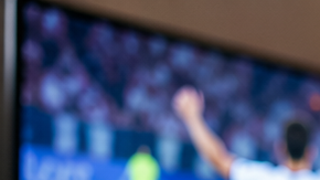 Perro y gato refugiados en una sala mientras varias personas celebran un partido del Mundial frente al televisor.