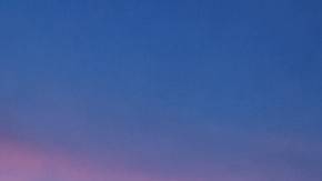 Vista del centro de Los Ángeles al atardecer con palmeras y fuegos artificiales por las celebraciones del 4 de julio.