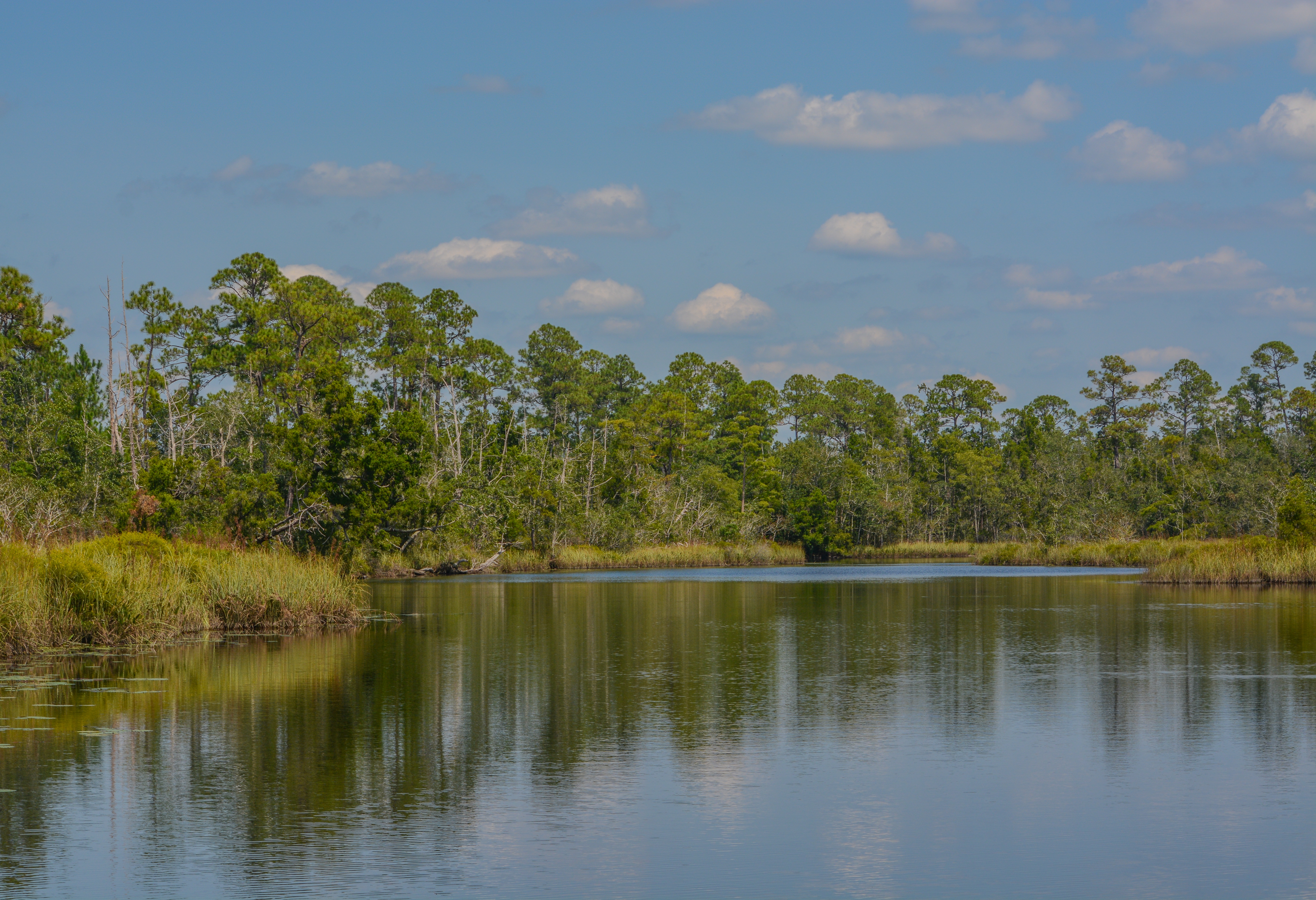 Joven de 18 años murió tras ser alcanzado por un rayo mientras navegaba en kayak en Florida