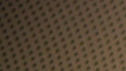 El nombre de usuario puede ser reservado directamente desde la aplicación de WhatsApp