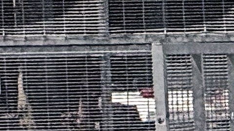 La policía acudió al lugar tras una solicitud para verificar el bienestar de los ocupantes del inmueble.