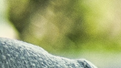 La pareja sostiene que el hedor ha transformado su hogar en un lugar difícil de habitar y que la situación se mantiene pese a múltiples intentos de buscar una solución.