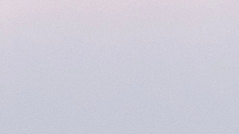 La Administración Federal de Aviación (FAA) confirmó que la otra aeronave cruzó la pista “sin autorización”