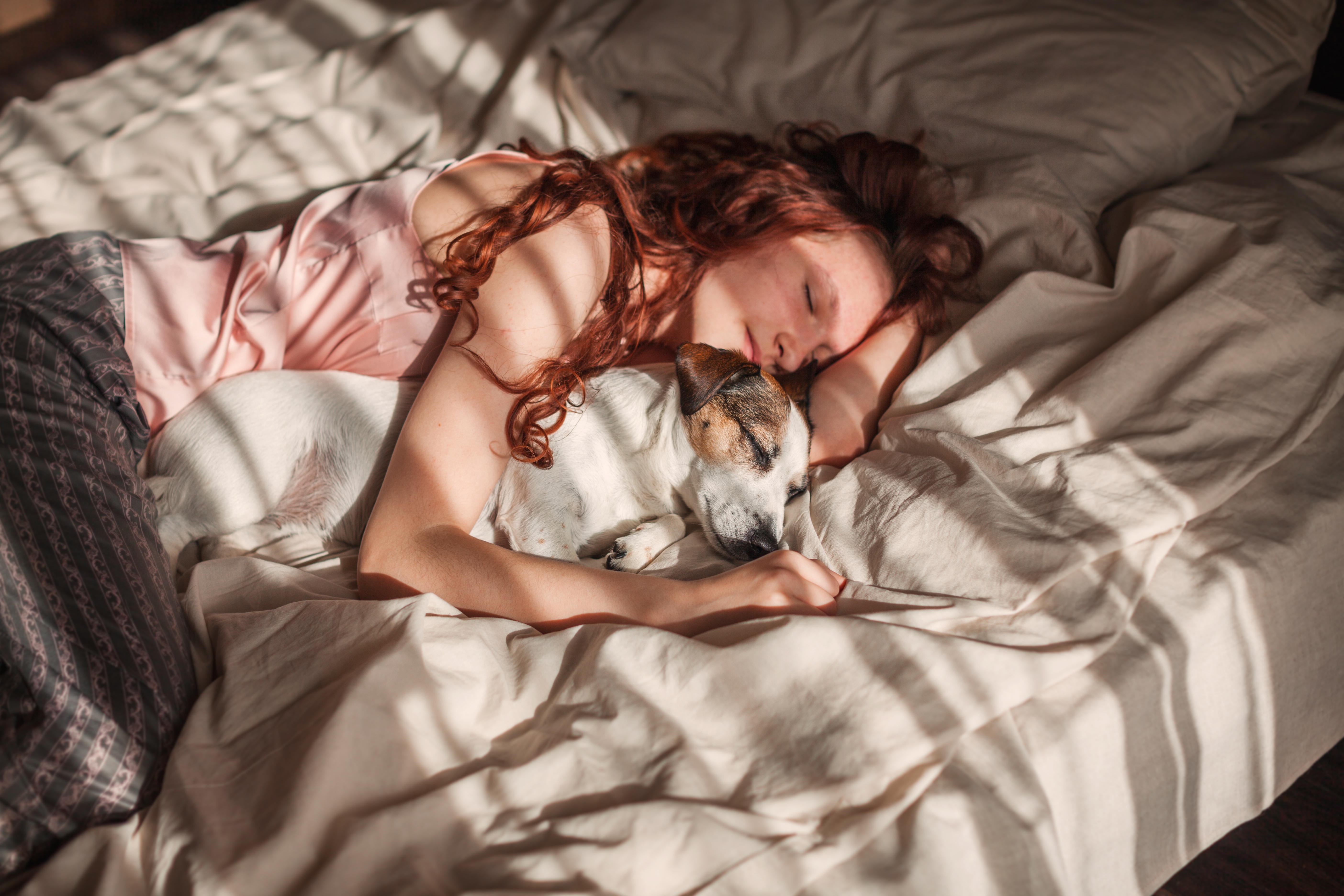 Soñar con perros: qué significa en lo espiritual y cuál es su mensaje