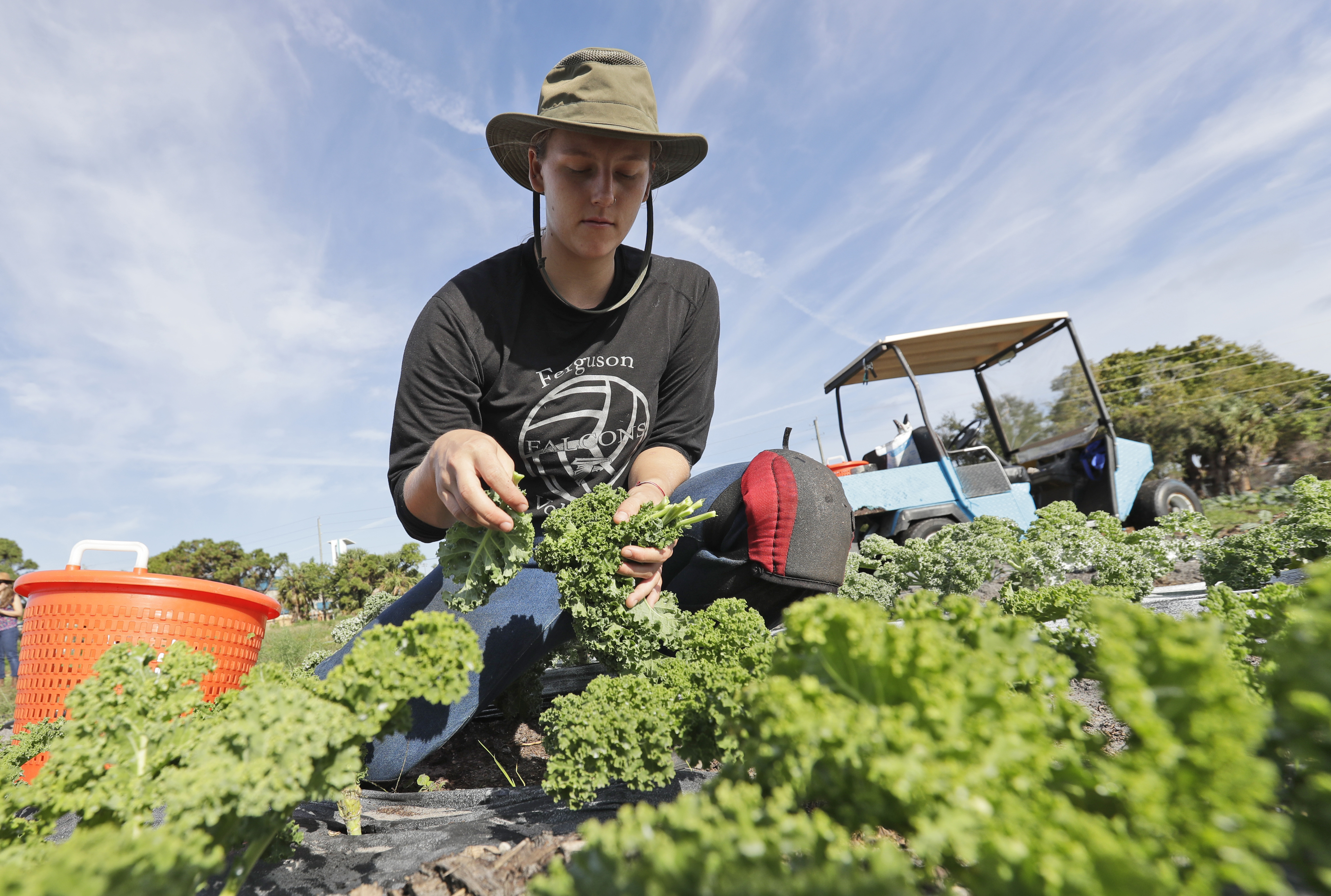 Trabajadores agrícolas demandan frenar la ley SAWA, acusan que reducirá salarios