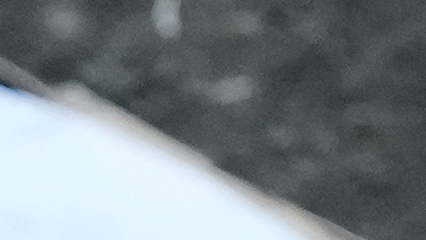 Junto al primer ministro israelí Benjamin Netanyahu, Trump es de los peores evaluados.