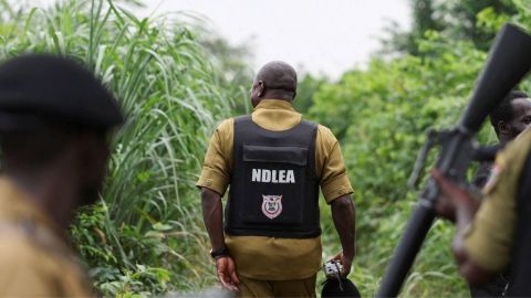Agentes antinarcóticos inspeccionan el lugar donde se sospecha que se encuentra un laboratorio ilegal de drogas en una zona densamente boscosa del oeste de Nigeria.