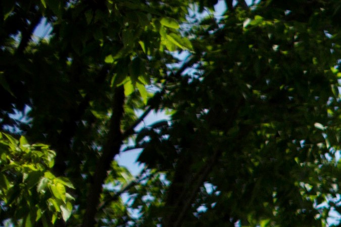 Millones de estadounidenses permanecen bajo alertas de calor y lluvias intensas