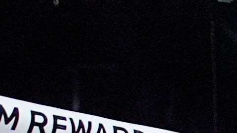 Edgar Berlanga vuelve a la senda del triunfo en los ensogados profesionales