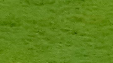 Federico Viñas contra la selección de España.