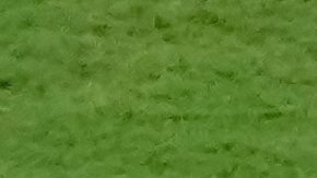 Uruguay se despidió del Mundial en la fase de grupos.
