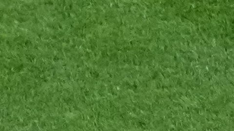 México recibirá este domingo a Inglaterra buscando llegar al sexto partido.