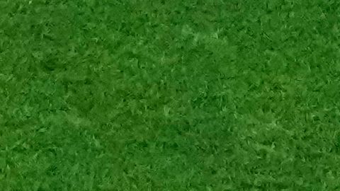 Gilberto Mora durante el partido contra Inglaterra.