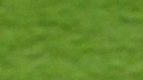 Switzerland's Breel Embolo (7) reacts after being given a yellow card during the World Cup quarterfinal soccer match against Argentina in Kansas City, Mo., Saturday, July 11, 2026. (AP Photo/Reed Hoffmann)