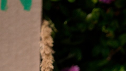 La muerte de  Johan Sebastián Durán Guerrero a manos de ICE desató protestas en Biddeford, Maine.