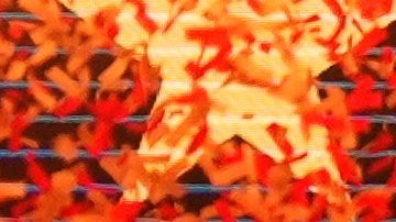 Parte de la celebración de "La Roja" en tierras españolas.