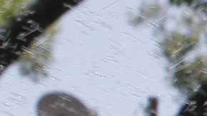Mucho del consumo innecesario del agua ocurre en los jardines de las casas.