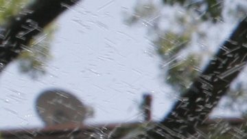 Mucho del consumo innecesario del agua ocurre en los jardines de las casas.