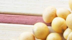 Aceite de soja: ¿saludable o injustamente demonizado?
