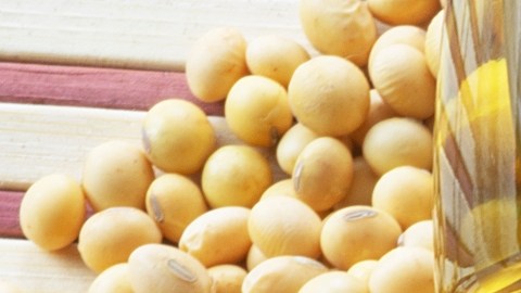 Aceite de soja: ¿saludable o injustamente demonizado?