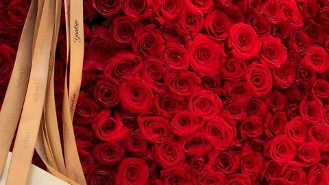 Arreglos florales