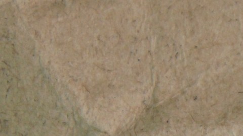 La aparición de un grano inusual en el rostro desembocó en lo peor