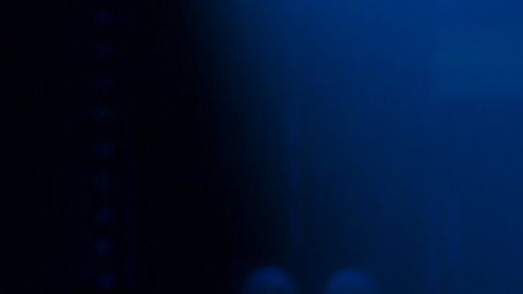 PJ Fest será una experiencia cultural de seis días con eventos en Miami, Houston y Los Ángeles que culminará con Premios Juventud, por primera vez desde Marbella, España.
