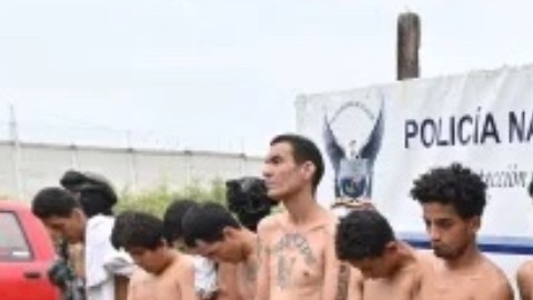 Chone killers